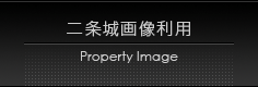 二条城画像利用
