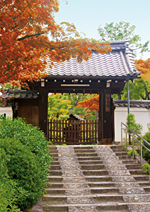 西来院 紅葉
