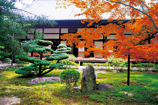 西来院 紅葉