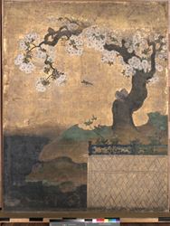桜花雉子図