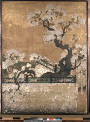 桜花雉子図
