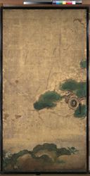 松図