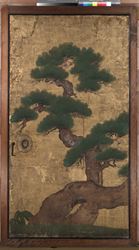 松図