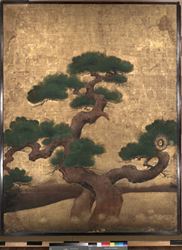松図