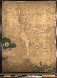 松図