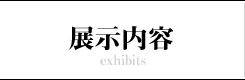 展示内容